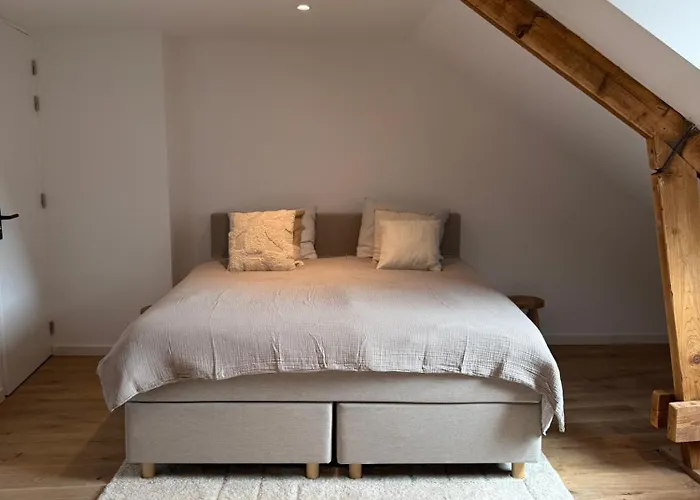 شقة Historische Bovenwoning Wyck ماسترخت